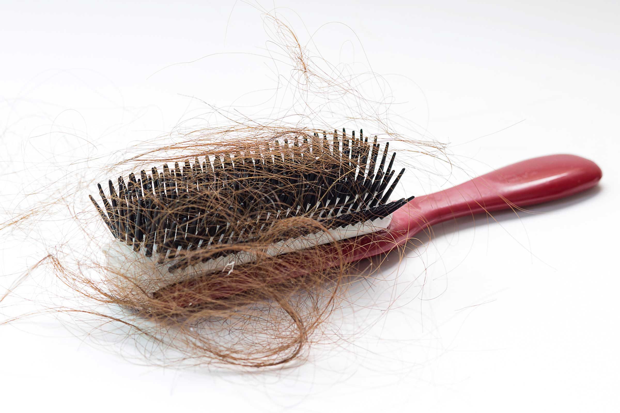 hair brush with lots of hair in it