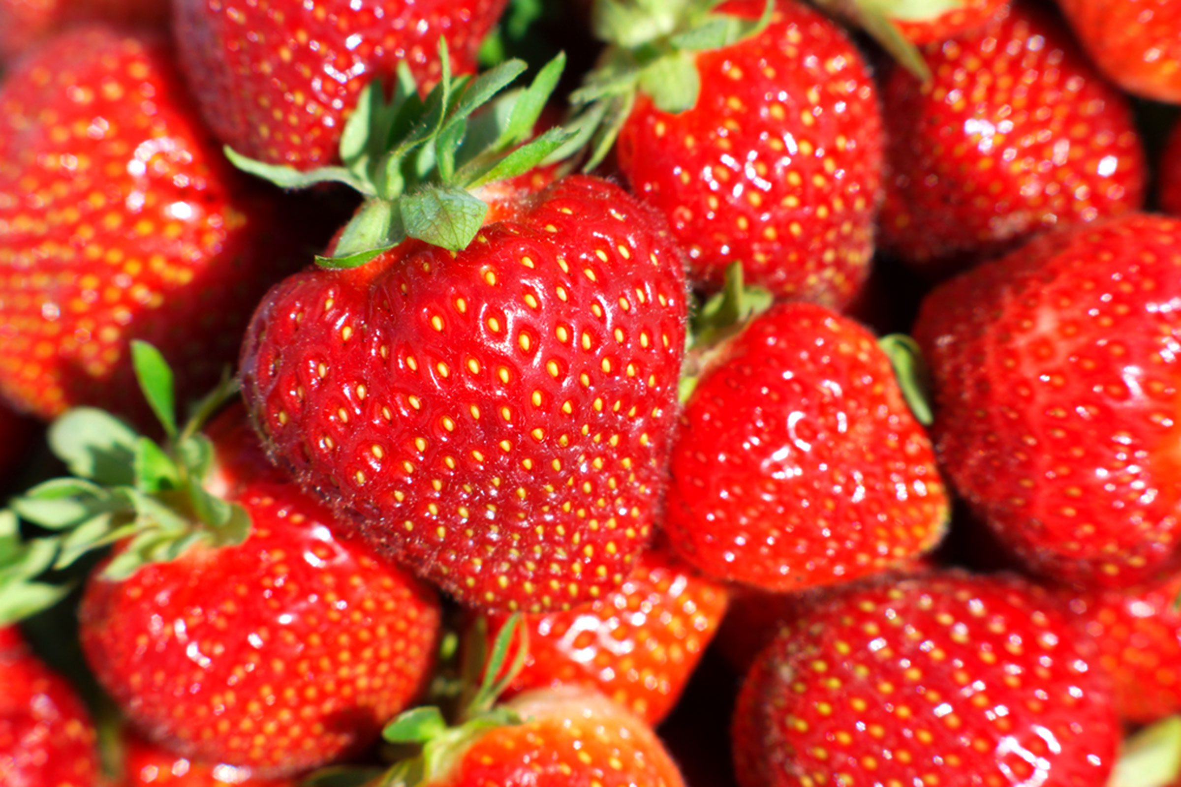 organic-