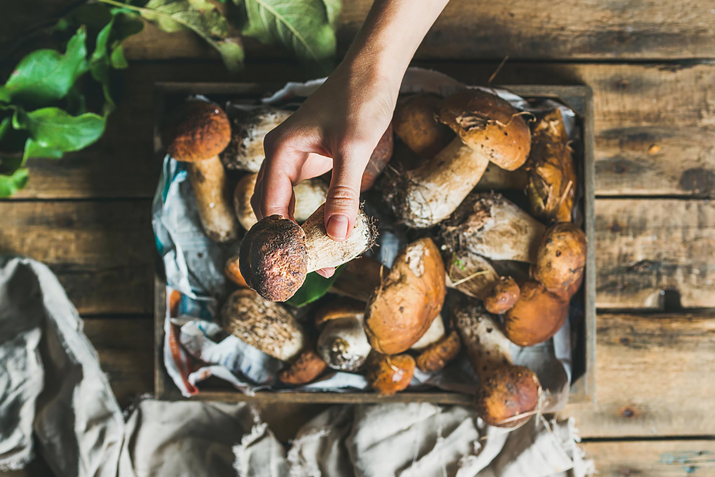 Mushrooms