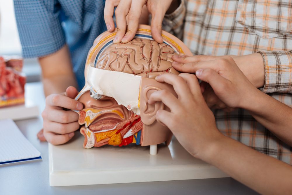 kids with brain model