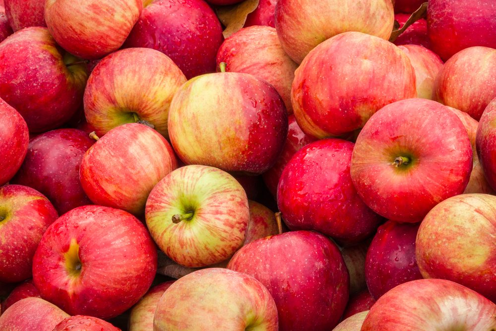 pile of red apples