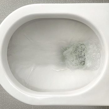 Water flushing down toilet bowl