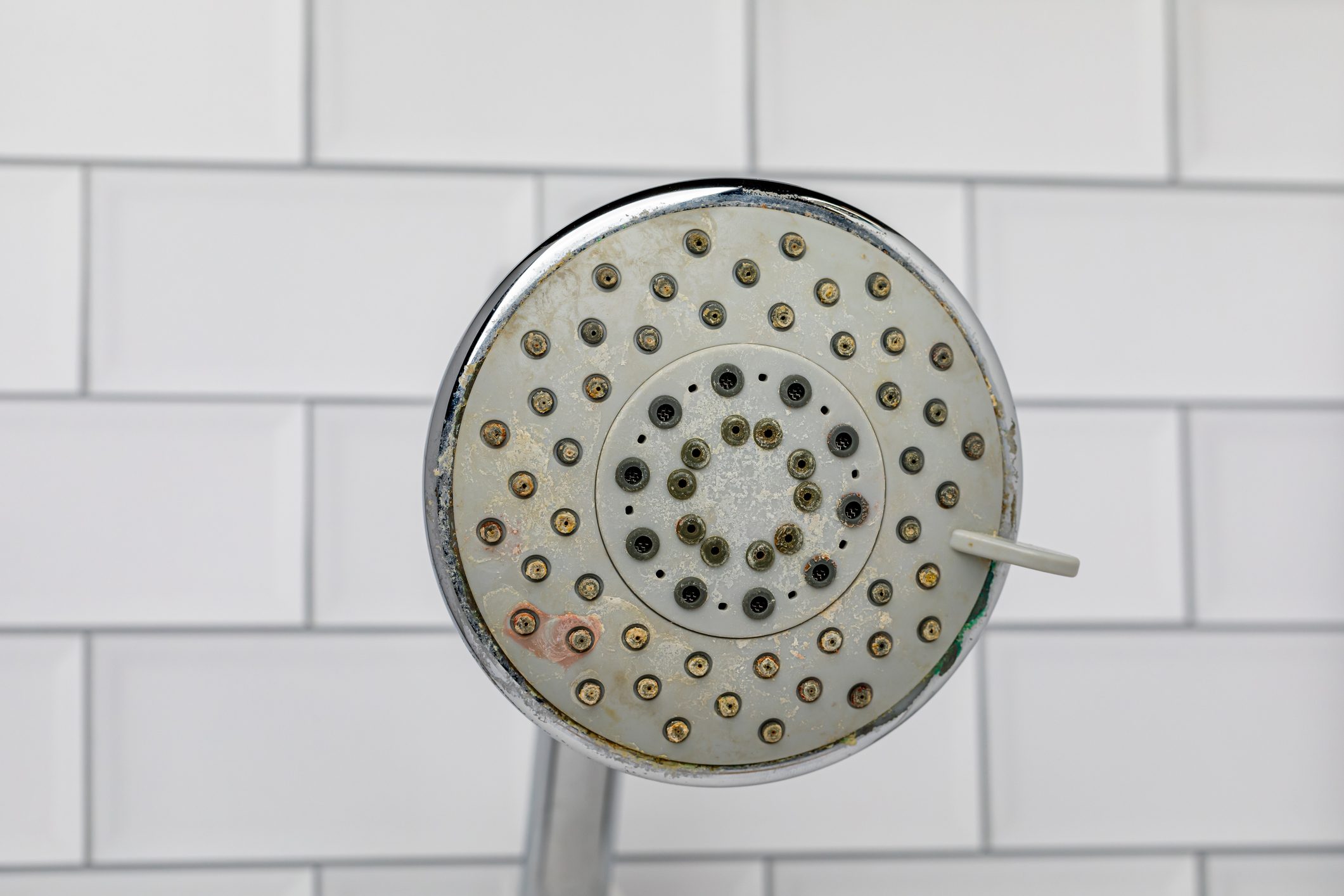 Dirty shower head in bathroom.