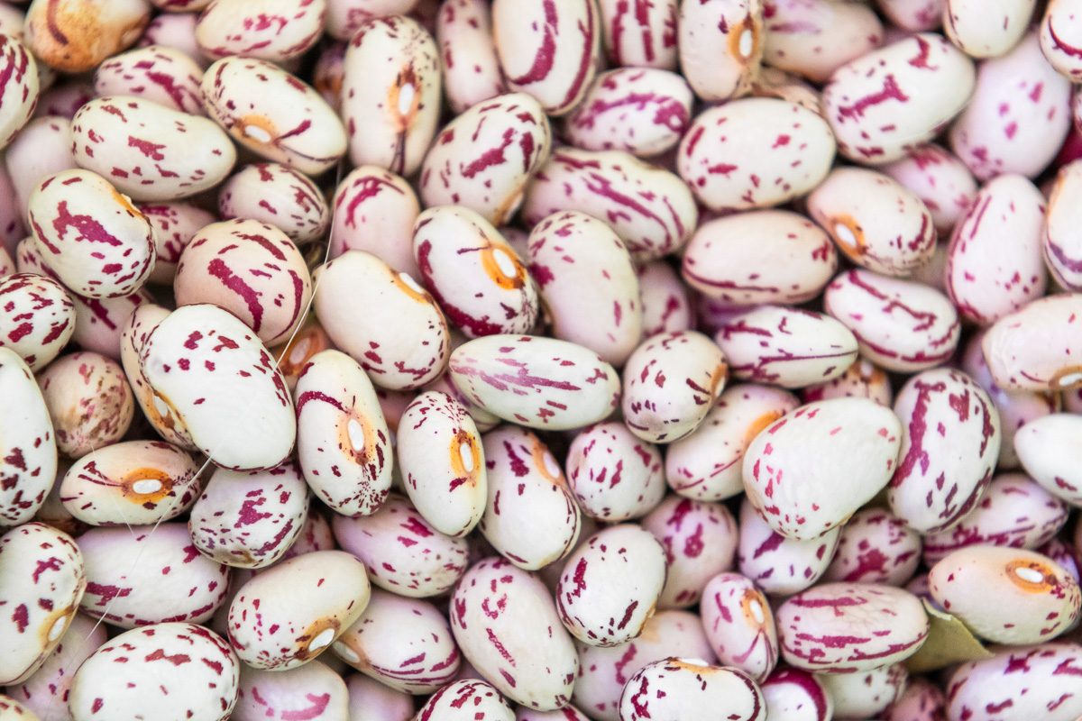 close up of pinto beans