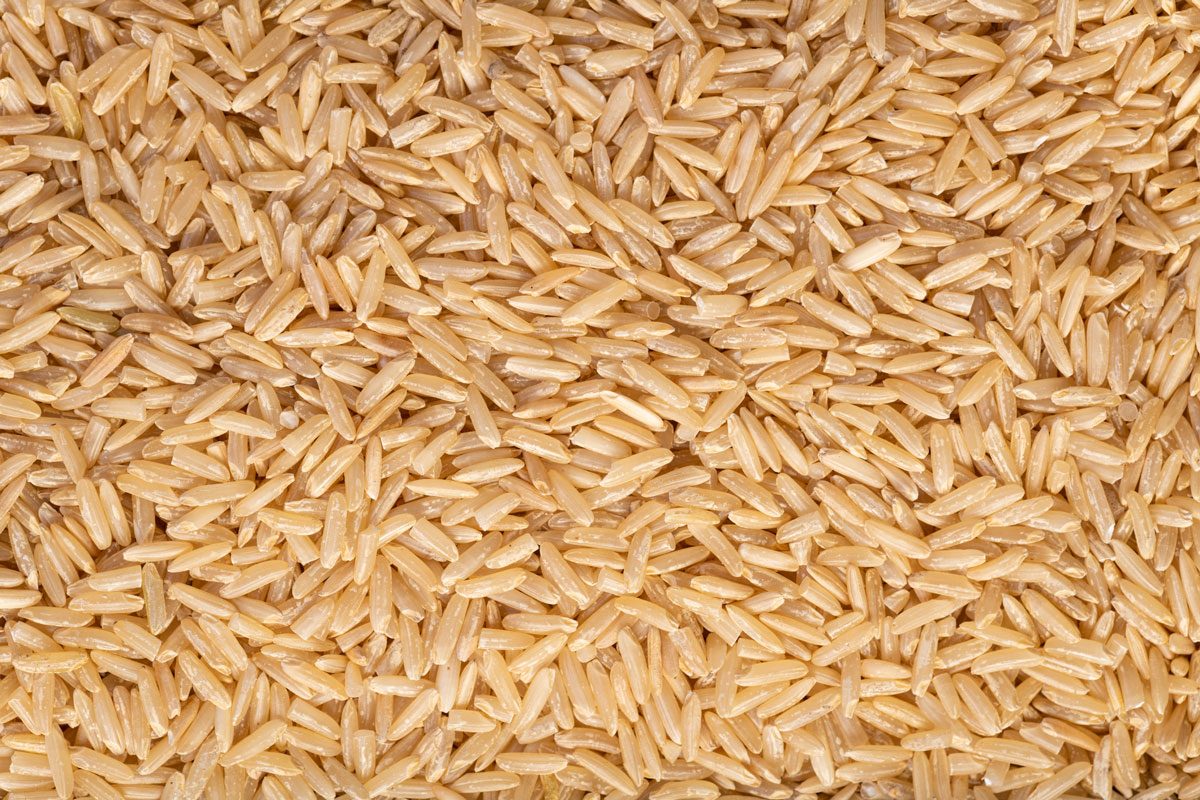 brown rice close up