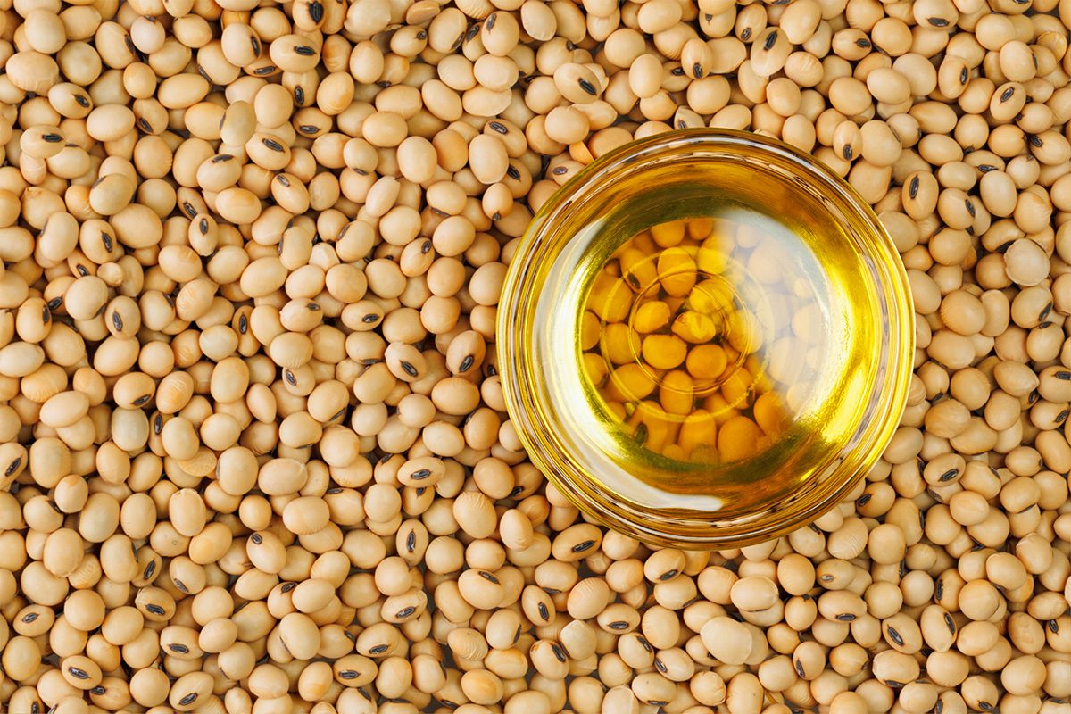 Is Soybean Oil Bad For You Gettyimages 2202095953
