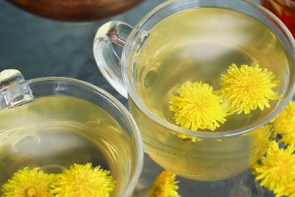 top view of cups with dandelion tea